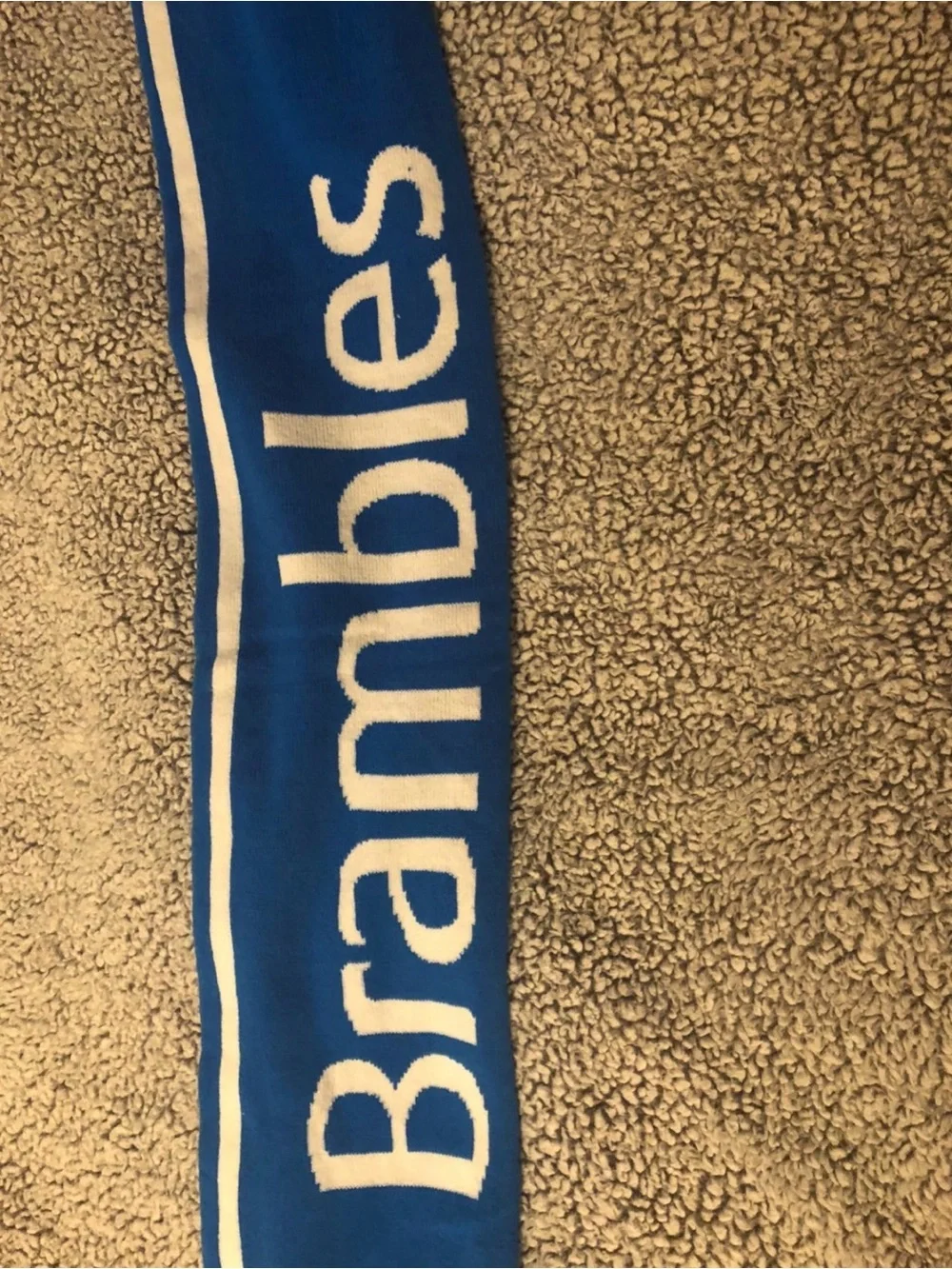 Vintage Enactus CHEP Blue & White Knit Scarf with Yellow Logo